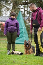 vom Trojangold, hodowla Owczarków Niemieckich Długowłosych