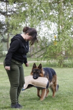 vom Trojangold, hodowla Owczarków Niemieckich Długowłosych