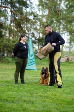 vom Trojangold, hodowla Owczarków Niemieckich Długowłosych