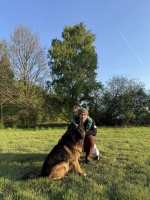 vom Trojangold, hodowla Owczarków Niemieckich Długowłosych