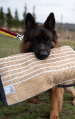 vom Trojangold, hodowla Owczarków Niemieckich Długowłosych