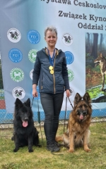 vom Trojangold, hodowla Owczarków Niemieckich Długowłosych