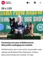 vom Trojangold, hodowla Owczarków Niemieckich Długowłosych