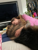 vom Trojangold, hodowla Owczarków Niemieckich Długowłosych