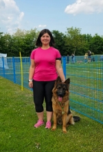 vom Trojangold, hodowla Owczarków Niemieckich Długowłosych