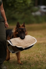 vom Trojangold, hodowla Owczarków Niemieckich Długowłosych