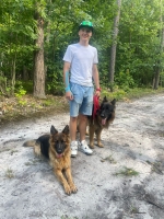 vom Trojangold, hodowla Owczarków Niemieckich Długowłosych