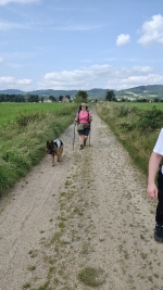 vom Trojangold, hodowla Owczarków Niemieckich Długowłosych