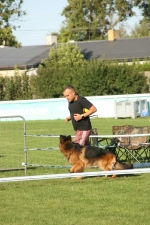 vom Trojangold, hodowla Owczarków Niemieckich Długowłosych