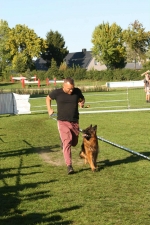 vom Trojangold, hodowla Owczarków Niemieckich Długowłosych