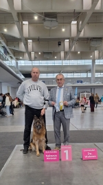 vom Trojangold, hodowla Owczarków Niemieckich Długowłosych