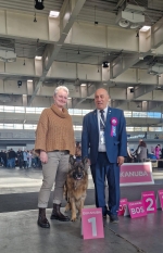 vom Trojangold, hodowla Owczarków Niemieckich Długowłosych