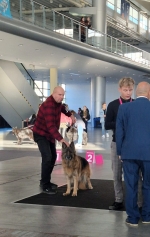 vom Trojangold, hodowla Owczarków Niemieckich Długowłosych