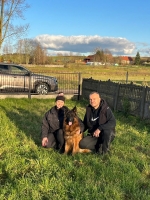 vom Trojangold, hodowla Owczarków Niemieckich Długowłosych