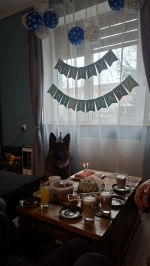 vom Trojangold, hodowla Owczarków Niemieckich Długowłosych