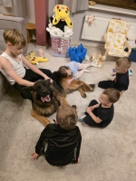 vom Trojangold, hodowla Owczarków Niemieckich Długowłosych