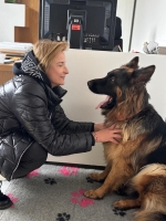 vom Trojangold, hodowla Owczarków Niemieckich Długowłosych