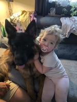 vom Trojangold, hodowla Owczarków Niemieckich Długowłosych