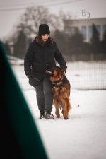 vom Trojangold, hodowla Owczarków Niemieckich Długowłosych