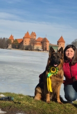 vom Trojangold, hodowla Owczarków Niemieckich Długowłosych