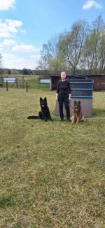 vom Trojangold, hodowla Owczarków Niemieckich Długowłosych