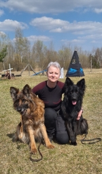 vom Trojangold, hodowla Owczarków Niemieckich Długowłosych