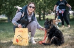 vom Trojangold, hodowla Owczarków Niemieckich Długowłosych