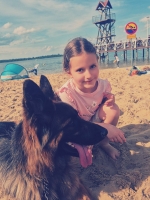vom Trojangold, hodowla Owczarków Niemieckich Długowłosych