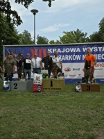 vom Trojangold, hodowla Owczarków Niemieckich Długowłosych