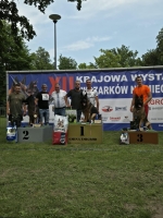 vom Trojangold, hodowla Owczarków Niemieckich Długowłosych