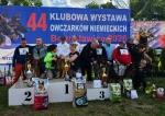 vom Trojangold, hodowla Owczarków Niemieckich Długowłosych