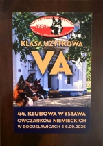 vom Trojangold, hodowla Owczarków Niemieckich Długowłosych