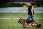 vom Trojangold, hodowla Owczarków Niemieckich Długowłosych