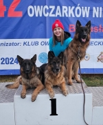 vom Trojangold, hodowla Owczarków Niemieckich Długowłosych