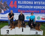 vom Trojangold, hodowla Owczarków Niemieckich Długowłosych